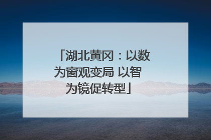 湖北黄冈：以数为窗观变局 以智为镜促转型