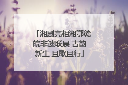 湘剧亮相湘鄂赣皖非遗联展 古韵新生 且歌且行