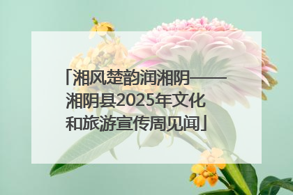 湘风楚韵润湘阴——湘阴县2025年文化和旅游宣传周见闻