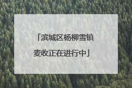 滨城区杨柳雪镇麦收正在进行中