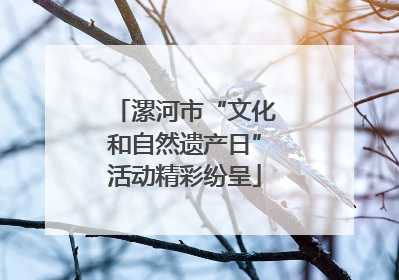 漯河市“文化和自然遗产日”活动精彩纷呈