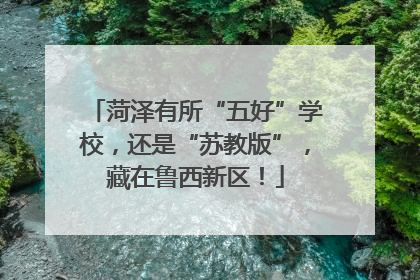 菏泽有所“五好”学校，还是“苏教版”，藏在鲁西新区！