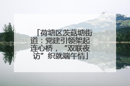 荷塘区茨菇塘街道：党建引领架起连心桥，“双联夜访”织就端午情
