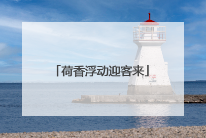 荷香浮动迎客来