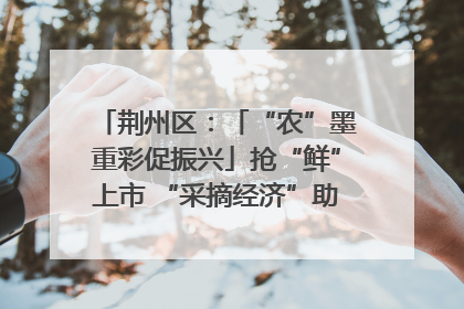 荆州区：「“农”墨重彩促振兴」抢“鲜”上市 “采摘经济”助农“甜蜜增收”
