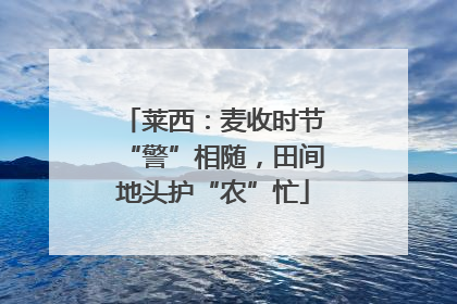 莱西：麦收时节“警”相随，田间地头护“农”忙