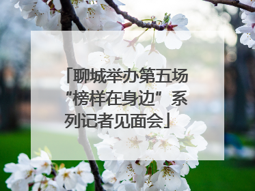 聊城举办第五场“榜样在身边”系列记者见面会