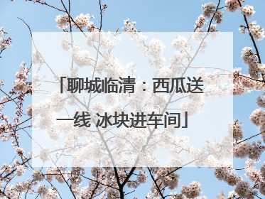 聊城临清：西瓜送一线 冰块进车间