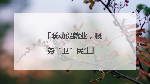 联动促就业，服务“卫”民生