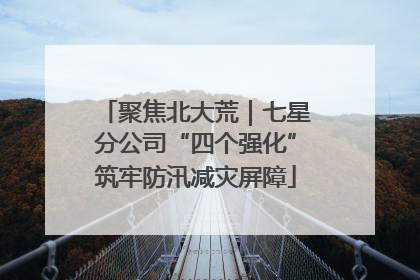聚焦北大荒｜七星分公司“四个强化”筑牢防汛减灾屏障