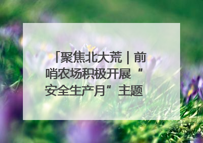 聚焦北大荒｜前哨农场积极开展“安全生产月”主题宣传活动