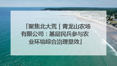 聚焦北大荒｜青龙山农场有限公司：基层民兵参与农业环境综合治理显效