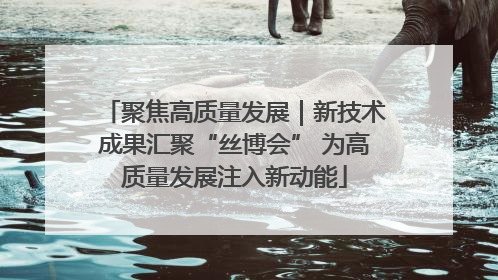 聚焦高质量发展｜新技术成果汇聚“丝博会” 为高质量发展注入新动能