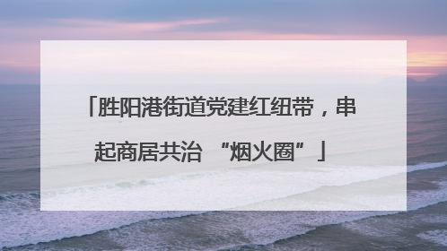 胜阳港街道党建红纽带，串起商居共治 “烟火圈”