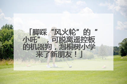 脚踩“风火轮”的“小吒”，可脱离遥控板的机器狗，泡桐树小学来了新朋友！