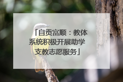 自贡富顺：教体系统积极开展助学支教志愿服务