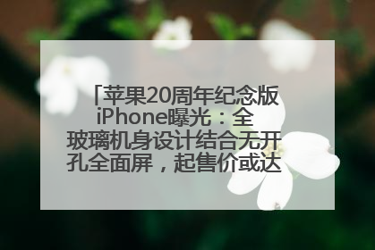 苹果20周年纪念版iPhone曝光：全玻璃机身设计结合无开孔全面屏，起售价或达1.45万人民币