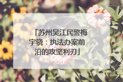 苏州吴江民警梅宇骁：执法办案前沿的攻坚利刃