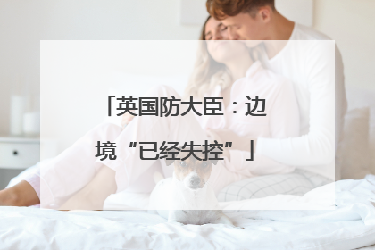 英国防大臣：边境“已经失控”