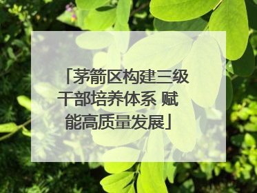 茅箭区构建三级干部培养体系 赋能高质量发展