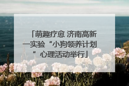 萌趣疗愈 济南高新一实验“小狗领养计划”心理活动举行