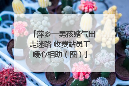 萍乡一男孩赌气出走迷路 收费站员工暖心相助（图）