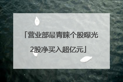 营业部最青睐个股曝光 2股净买入超亿元