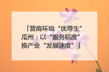营商环境“优等生”瓜州：以“服务精度”换产业“发展速度”