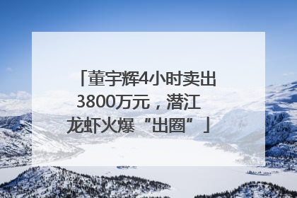 董宇辉4小时卖出3800万元，潜江龙虾火爆“出圈”