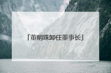 董明珠卸任董事长
