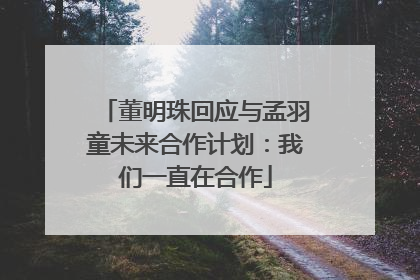 董明珠回应与孟羽童未来合作计划：我们一直在合作