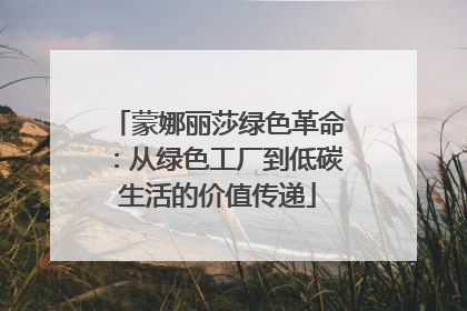 蒙娜丽莎绿色革命：从绿色工厂到低碳生活的价值传递
