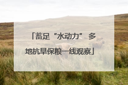 蓄足“水动力” 多地抗旱保粮一线观察