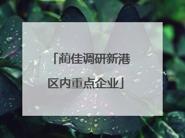 蔺佳调研新港区内重点企业