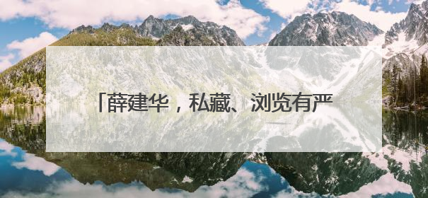 薛建华，私藏、浏览有严重政治问题的网络文章