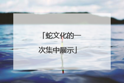 蛇文化的一次集中展示