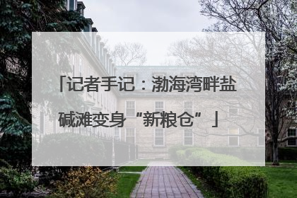记者手记：渤海湾畔盐碱滩变身“新粮仓”