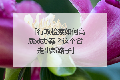 行政检察如何高质效办案？这个省走出新路子