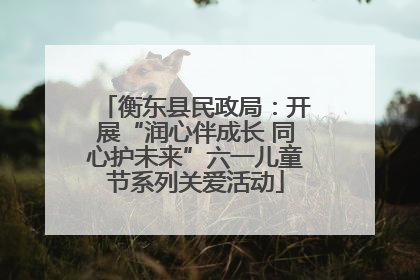 衡东县民政局：开展“润心伴成长 同心护未来”六一儿童节系列关爱活动
