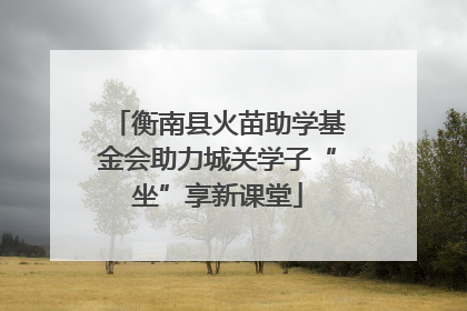 衡南县火苗助学基金会助力城关学子“坐”享新课堂