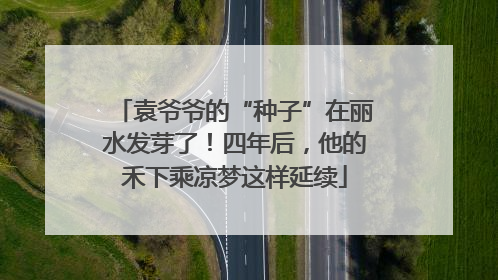 袁爷爷的“种子”在丽水发芽了！四年后，他的禾下乘凉梦这样延续