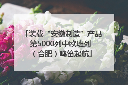 装载“安徽制造”产品 第5000列中欧班列（合肥）鸣笛起航