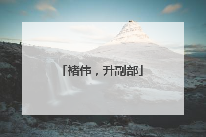褚伟，升副部