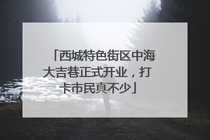 西城特色街区中海大吉巷正式开业，打卡市民真不少