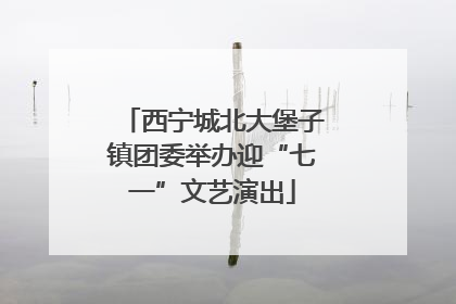 西宁城北大堡子镇团委举办迎“七一”文艺演出
