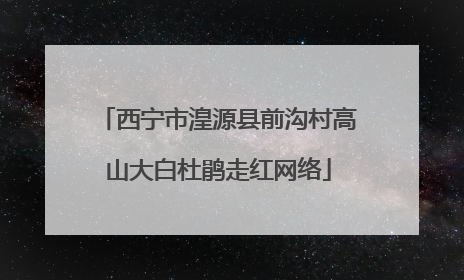 西宁市湟源县前沟村高山大白杜鹃走红网络