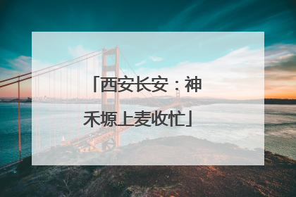 西安长安：神禾塬上麦收忙