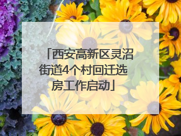 西安高新区灵沼街道4个村回迁选房工作启动