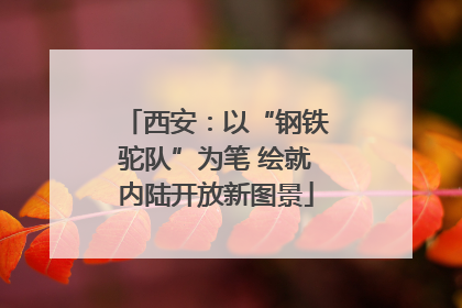 西安：以“钢铁驼队”为笔 绘就内陆开放新图景