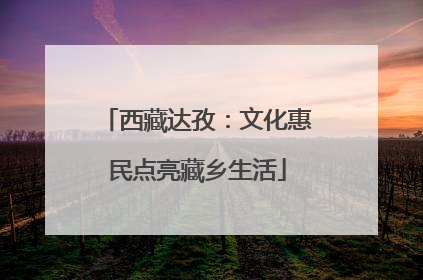 西藏达孜：文化惠民点亮藏乡生活